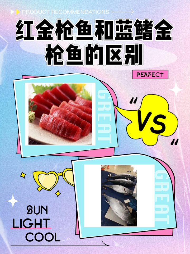 金枪鱼的饵料(金枪鱼的饵料是什么)