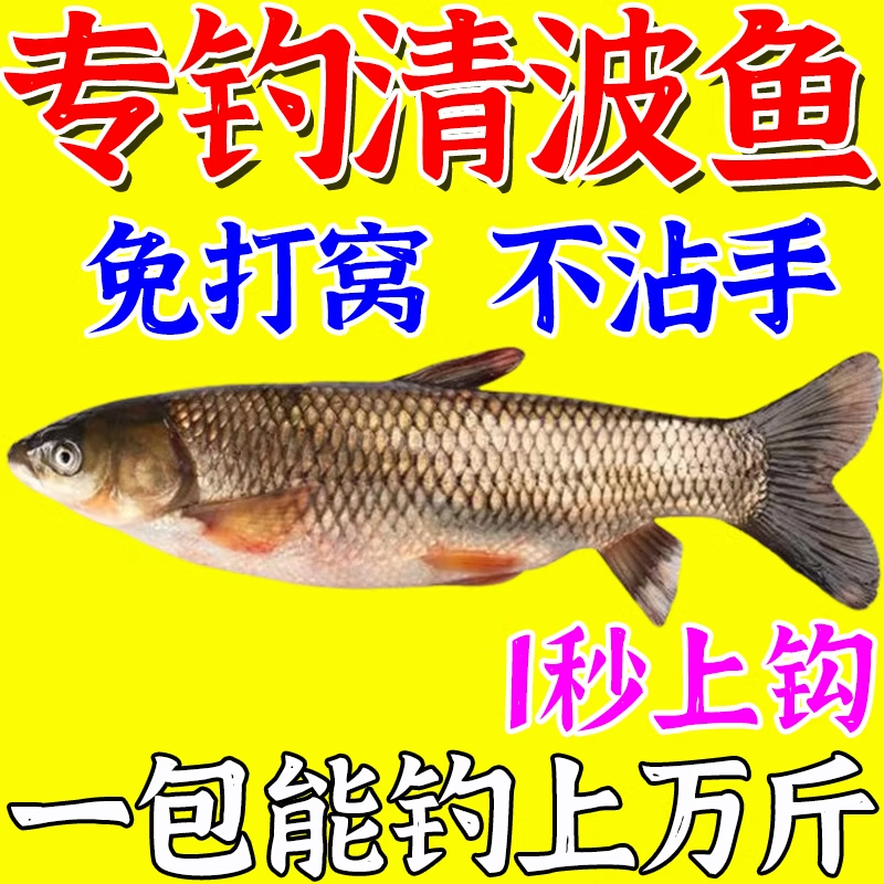 鱼饵料的作用(鱼饵料大全)