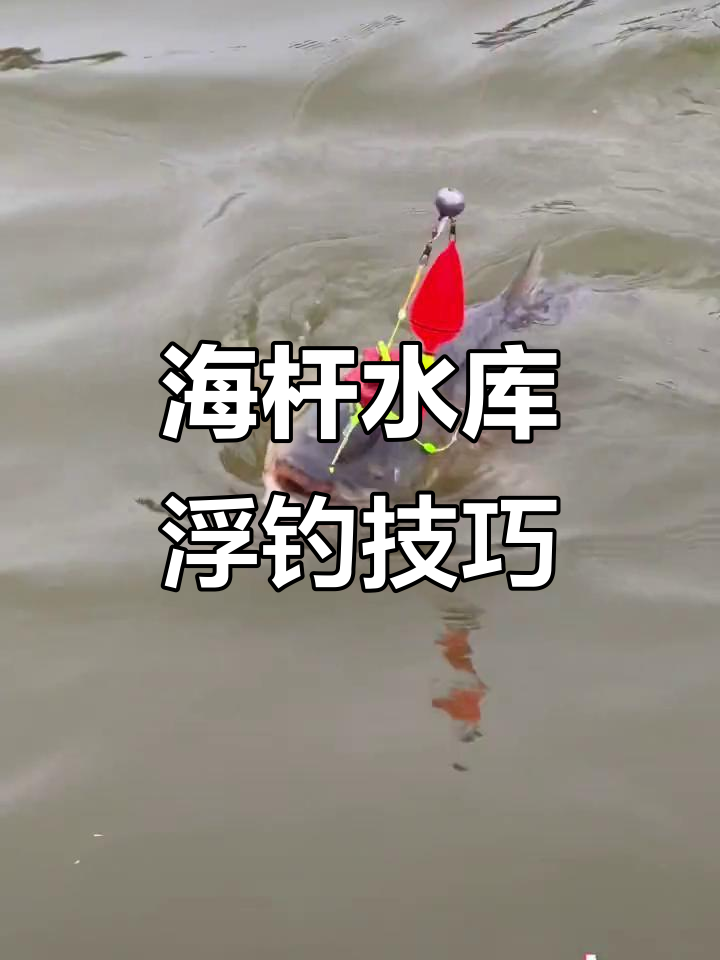 站浮钓鱼技巧(站漂怎么钓鱼视频)