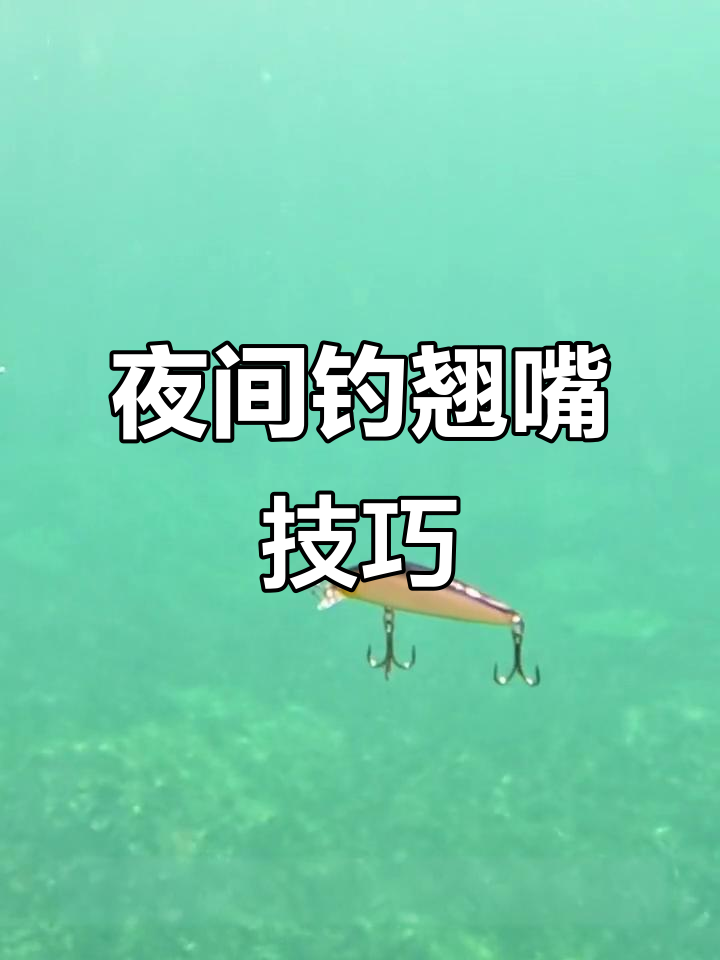 晚上筏钓翘嘴技巧视频(筏钓夜钓翘嘴钓多深水)
