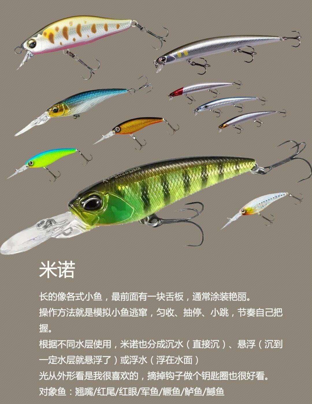 饵料配方思路(多种饵料配方视频测试)