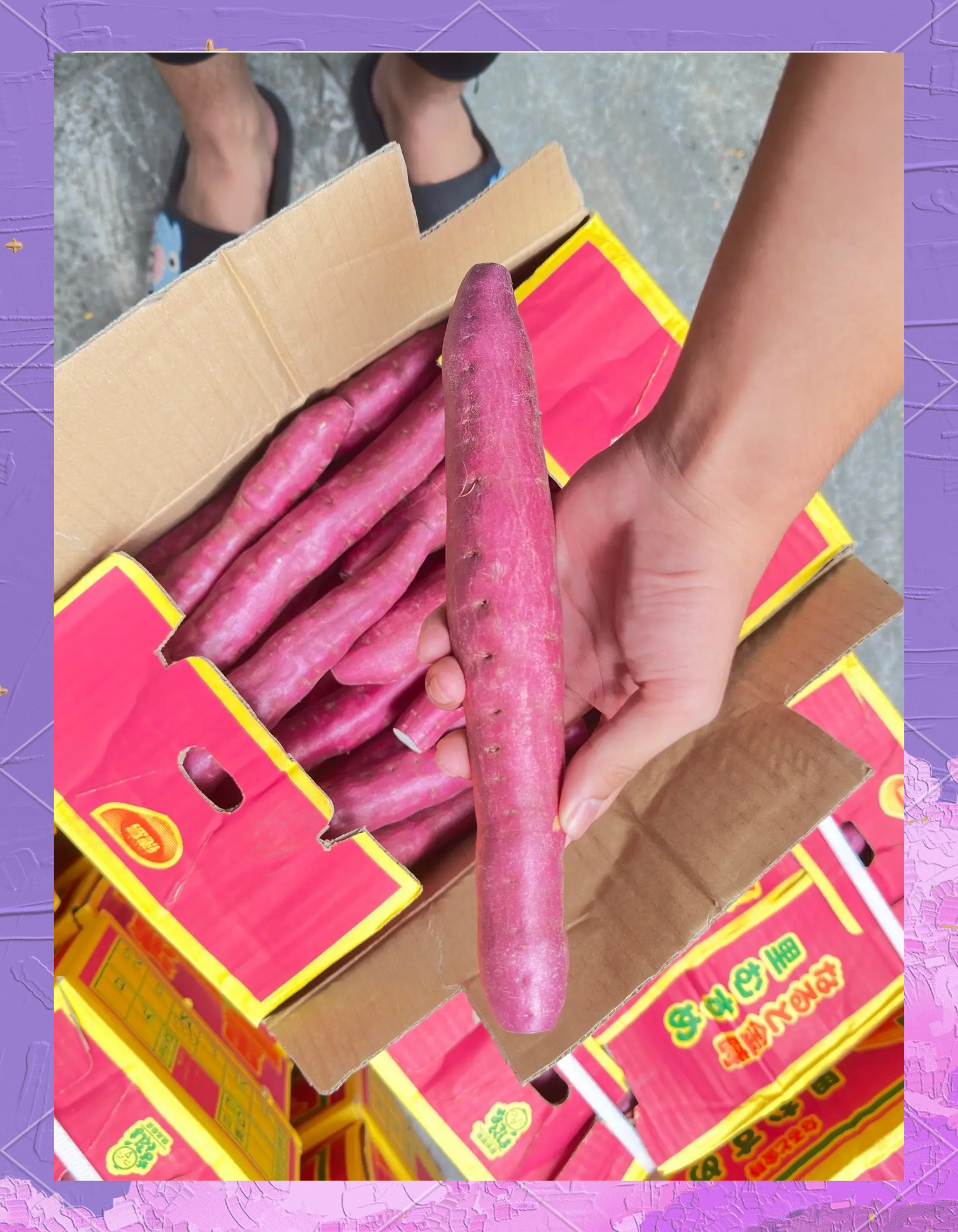 浅草渔具地瓜(点点野钓app下载)