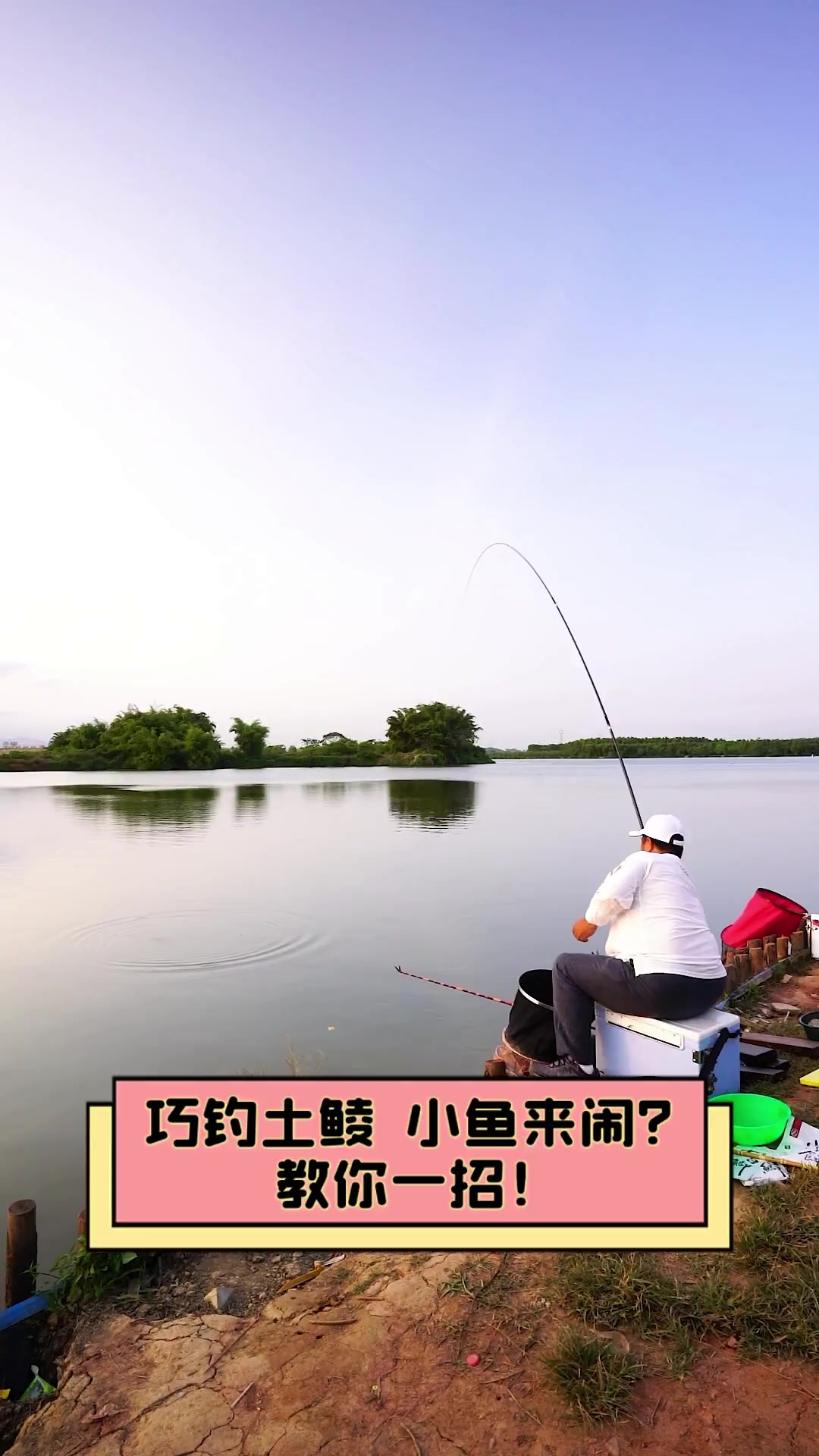 钓土鲮鱼视频调漂技巧(钓土鲮鱼用什么饵料配方)
