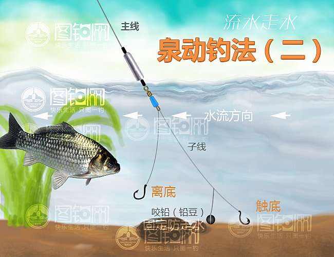 江河钓鱼技巧视频(江河钓鱼视频野钓实战)