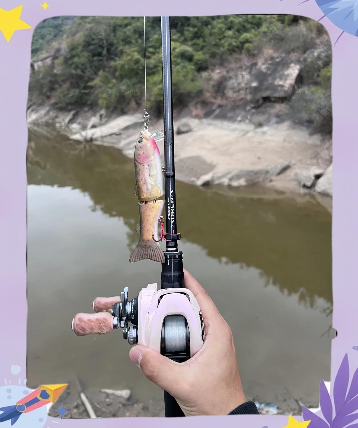 海边怎么路亚鲈鱼(海边路亚鲈鱼用什么假饵最好)