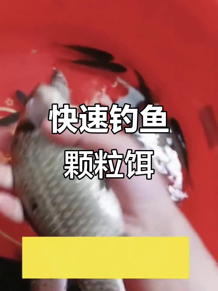 颗粒饵料怎么钓小鱼(颗粒怎么钓鱼最好)