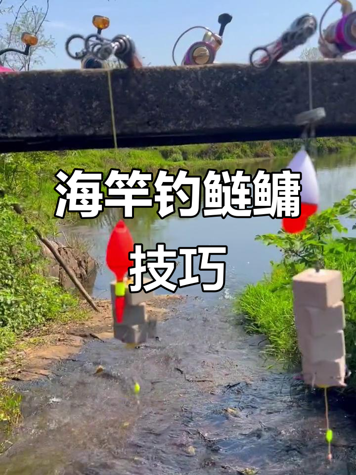 水库钓海竿技巧(水库海竿钓鱼技巧)