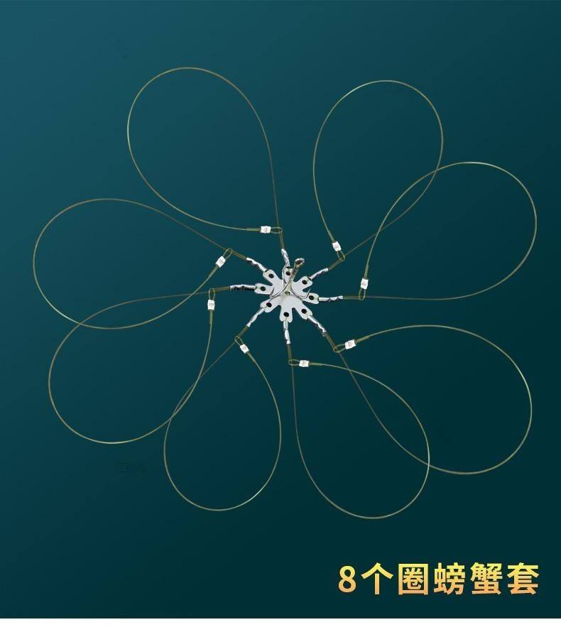 钓蟹圈用有什么技巧(钓螃蟹的钩怎么用教学视频)