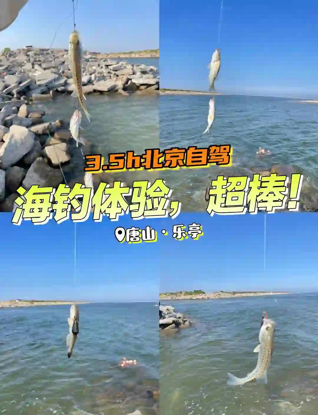 汉沽海钓地点(汉沽海钓地点有哪些)
