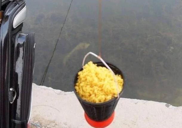 大河钓鲫鱼开饵料技巧(大河钓鲫鱼开饵料技巧图解)