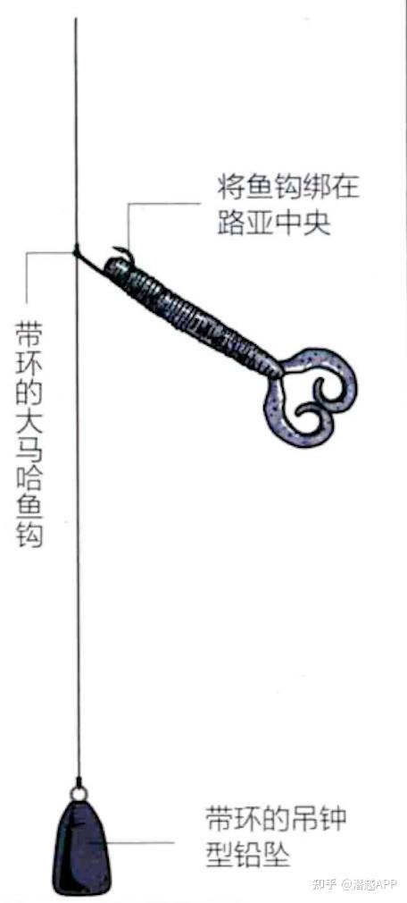 路亚软饵钓组图片(路亚软饵的钓法)