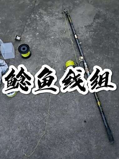 海钓鲶鱼技巧(海钓鲶鱼技巧视频)