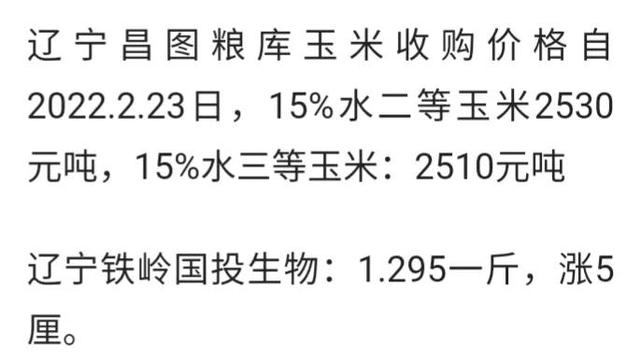 小麦玉米饵料配方(玉米小麦自制钓鱼窝料)