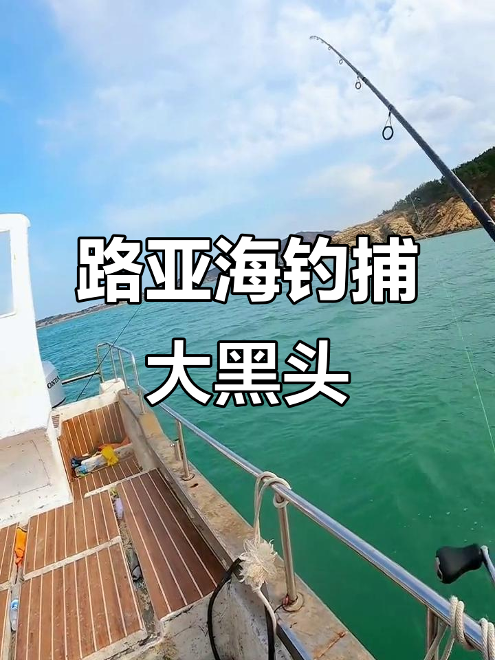海钓黑头初学视频(海边钓黑头)