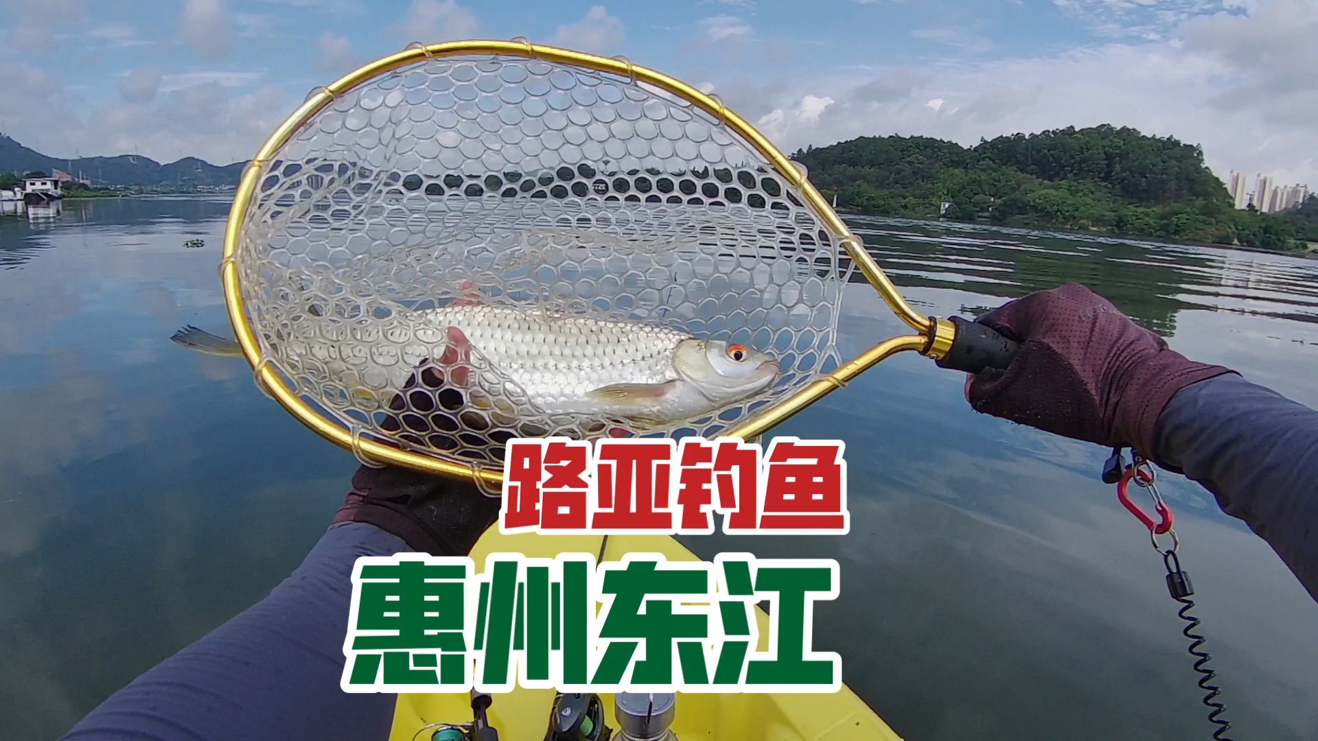 湖南东江湖路亚(湖南东江湖钓鱼规定)