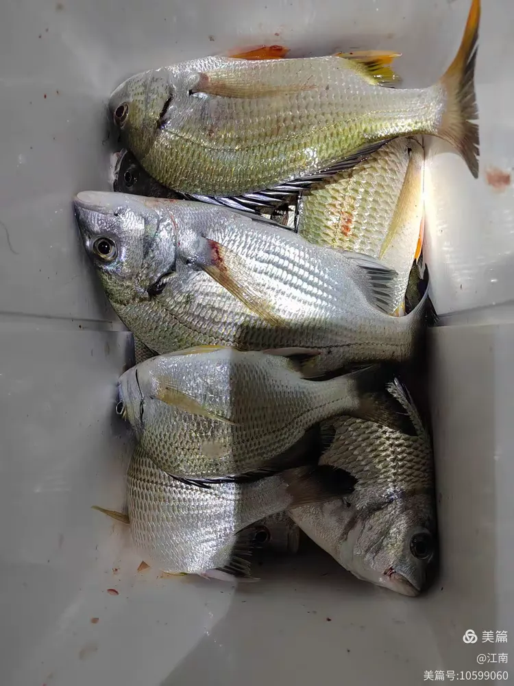 海口海钓心得(海口钓海鱼的地方)