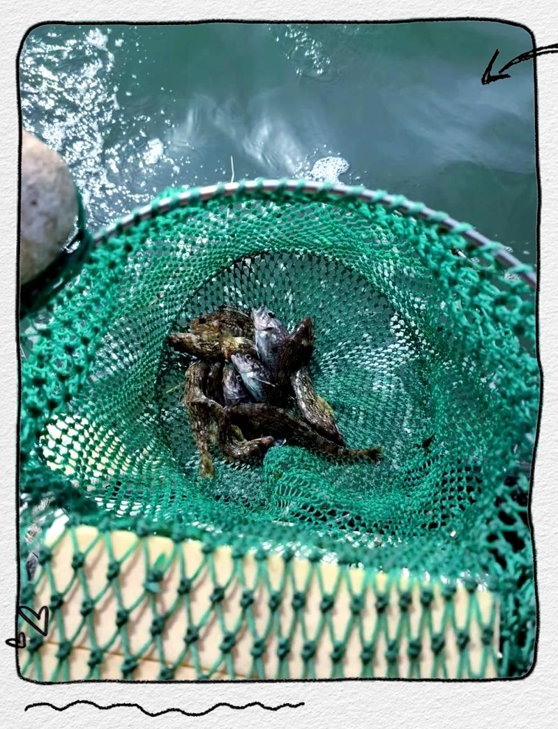 烟台海钓飘线(烟台海钓钓鱼地点)
