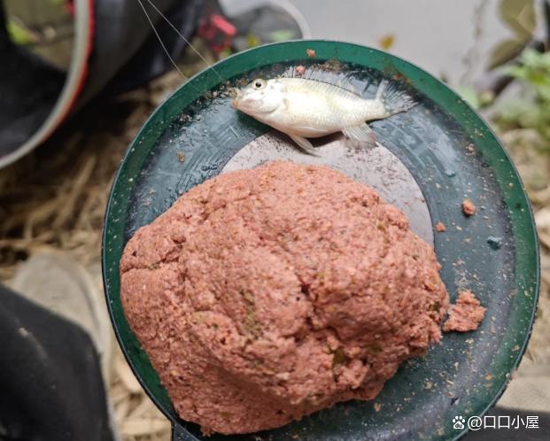 与饵料反水(饵料反水怎么解决)
