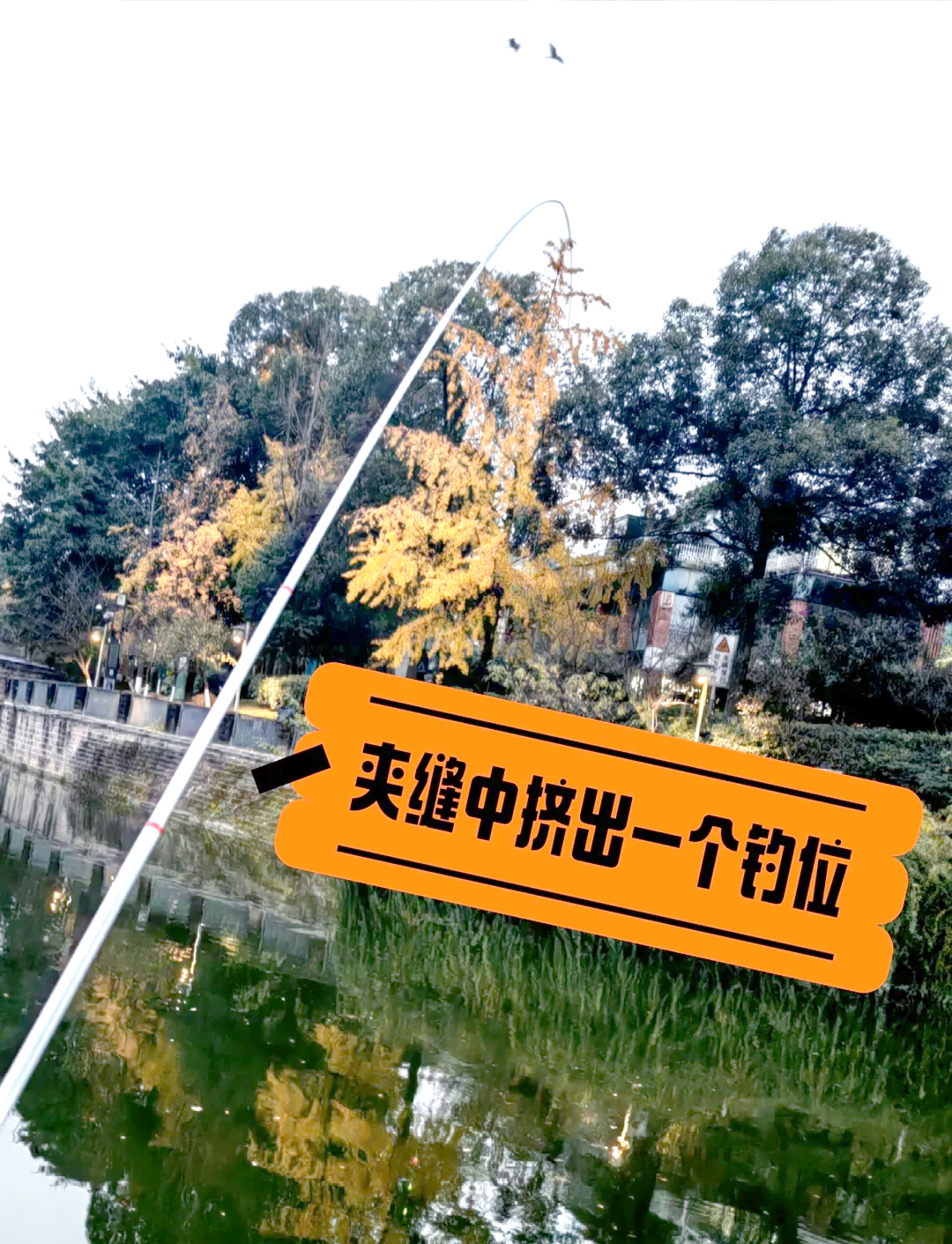 冬季钓鱼技巧与视频大全(冬季钓鱼的视频)