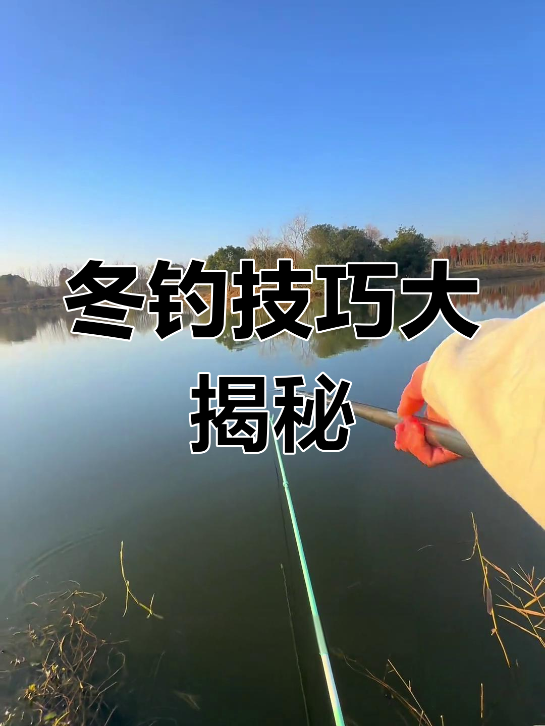 冬季钓鱼技巧与视频大全(冬季钓鱼的视频)