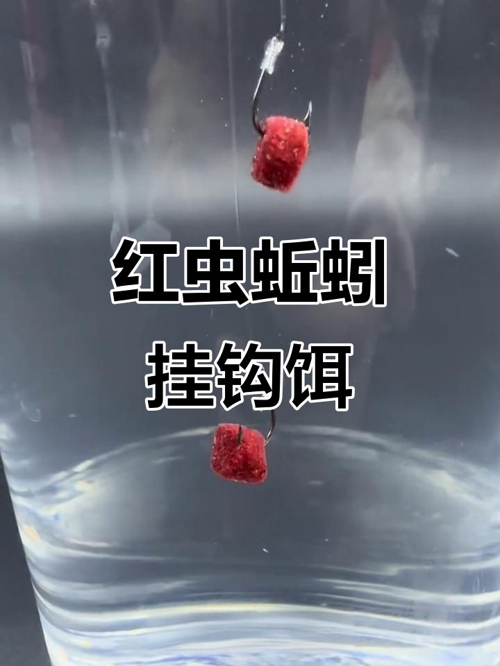 红虫饵料钓鱼怎样(红虫饵料钓鱼怎样打窝)