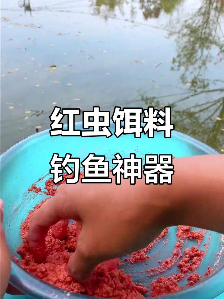 红虫饵料钓鱼怎样(红虫饵料钓鱼怎样打窝)