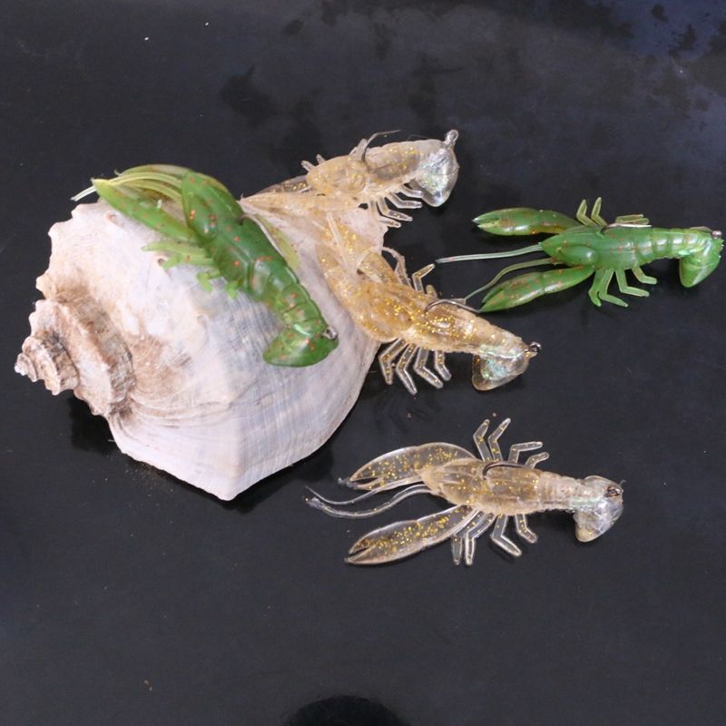 海钓鲈鱼中什么饵料(海钓鲈鱼怎样选择钓点)