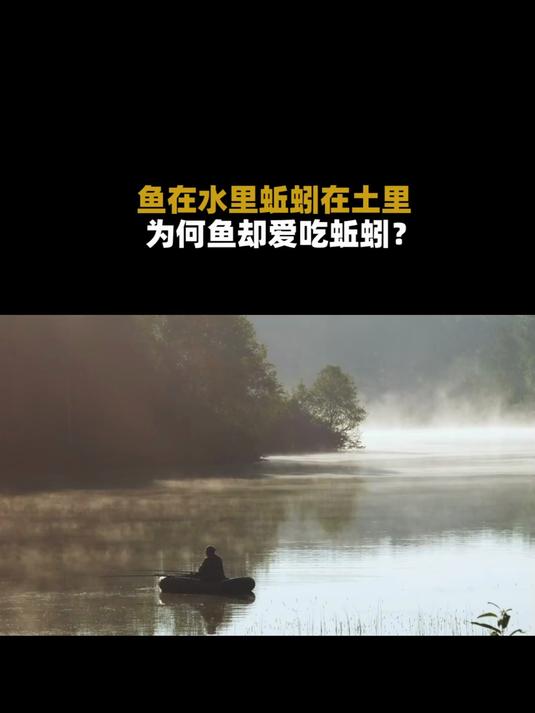 不吃饵料爱吃蚯蚓(不吃饵料只吃蚯蚓)