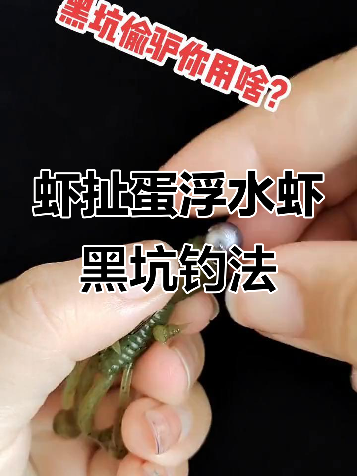 抢饵料(欠个人钱被起诉了确实没有钱还怎么办)