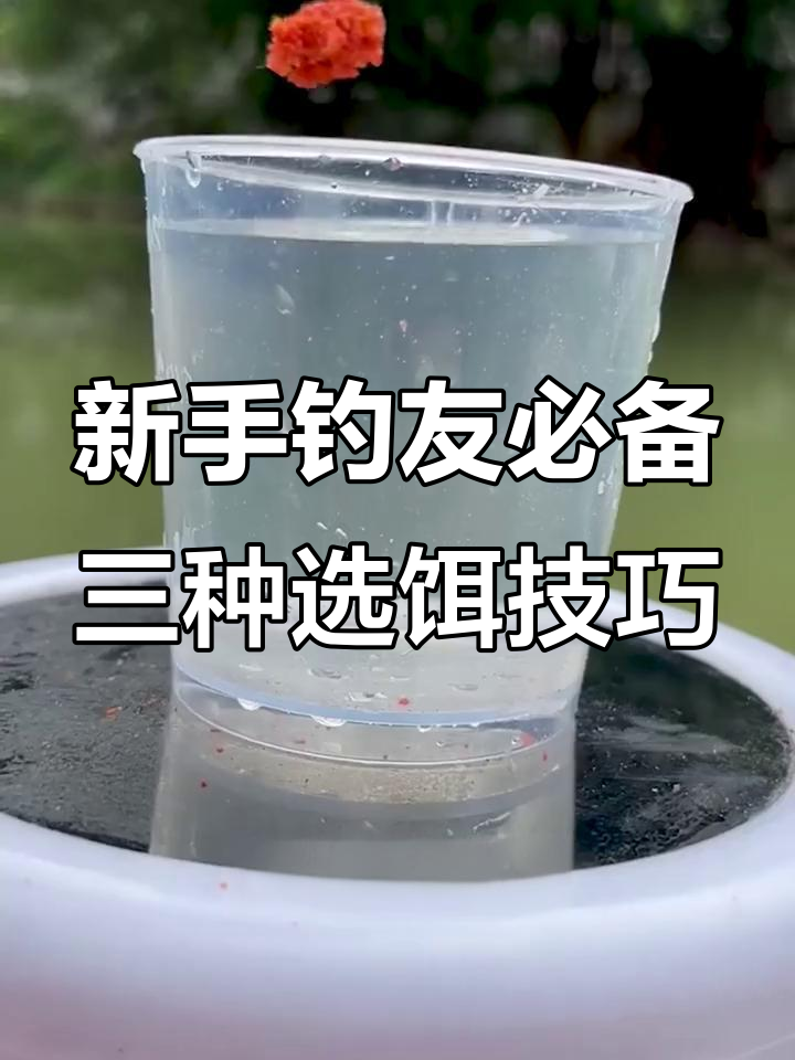 清水钓鱼饵料技巧(清水钓鱼怎么钓)