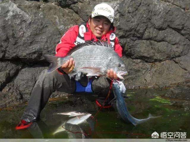 二河口海钓(两河口钓鱼具体位置)