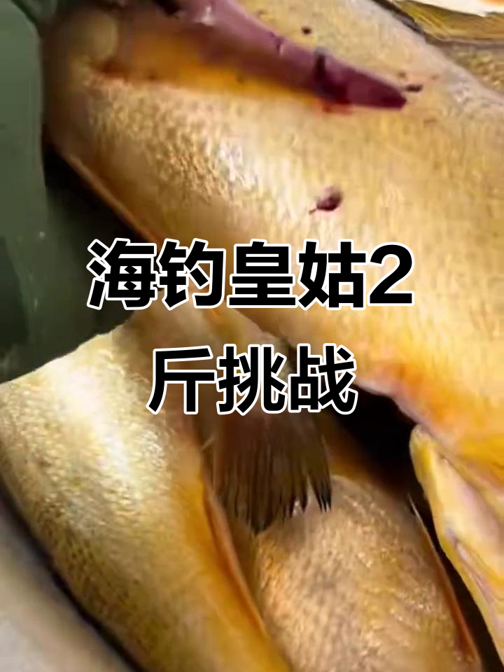海钓大丰收(钓鱼大丰收的句子)