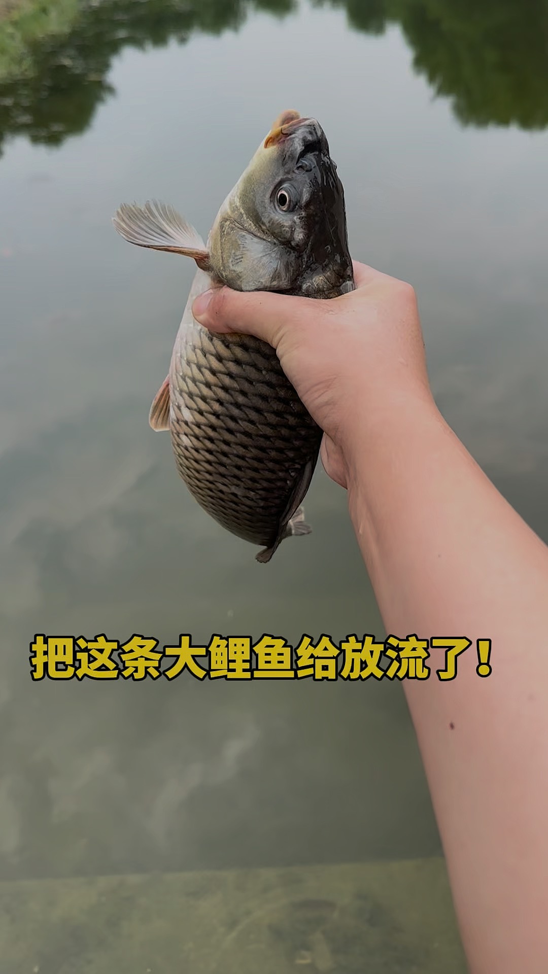 放流技巧(放流钓是什么意思)