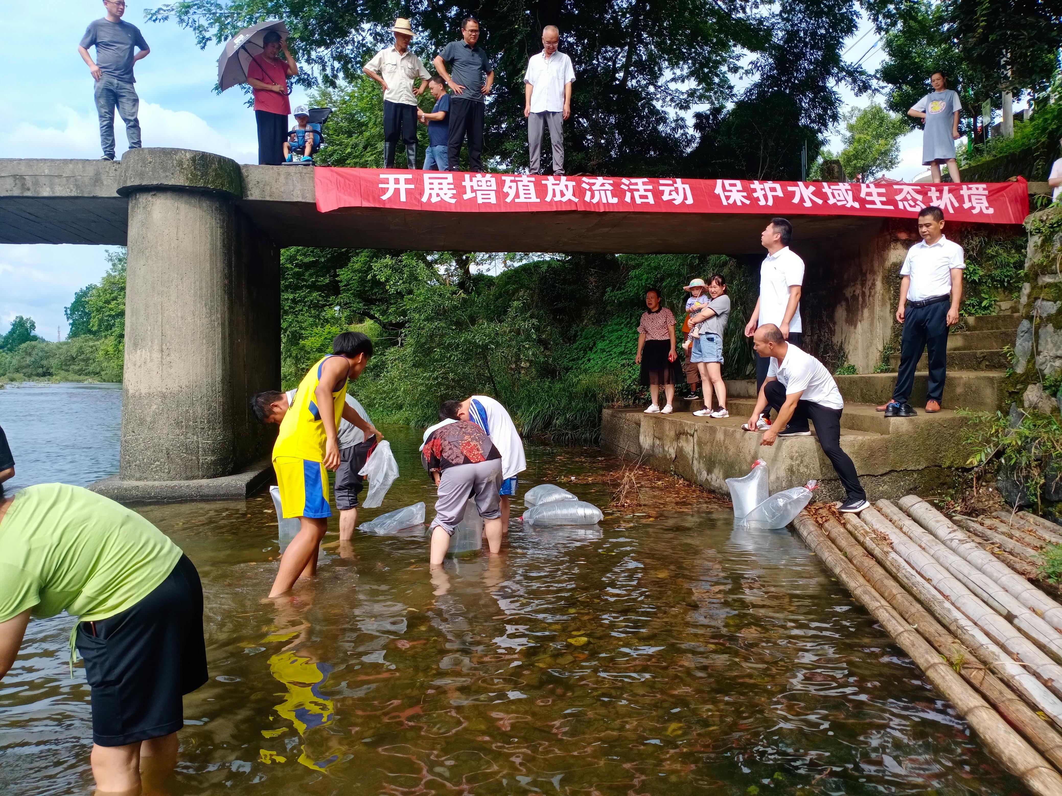 放流技巧(放流钓是什么意思)