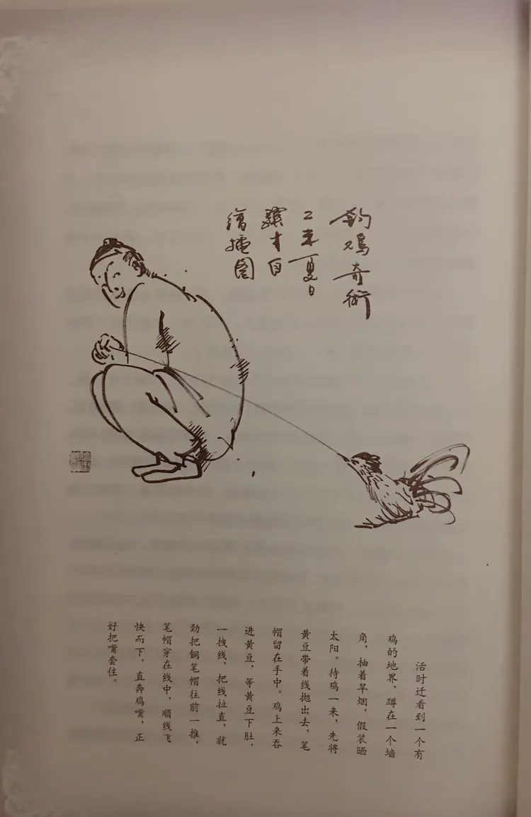 钓鸡技巧(钓鸡视频)