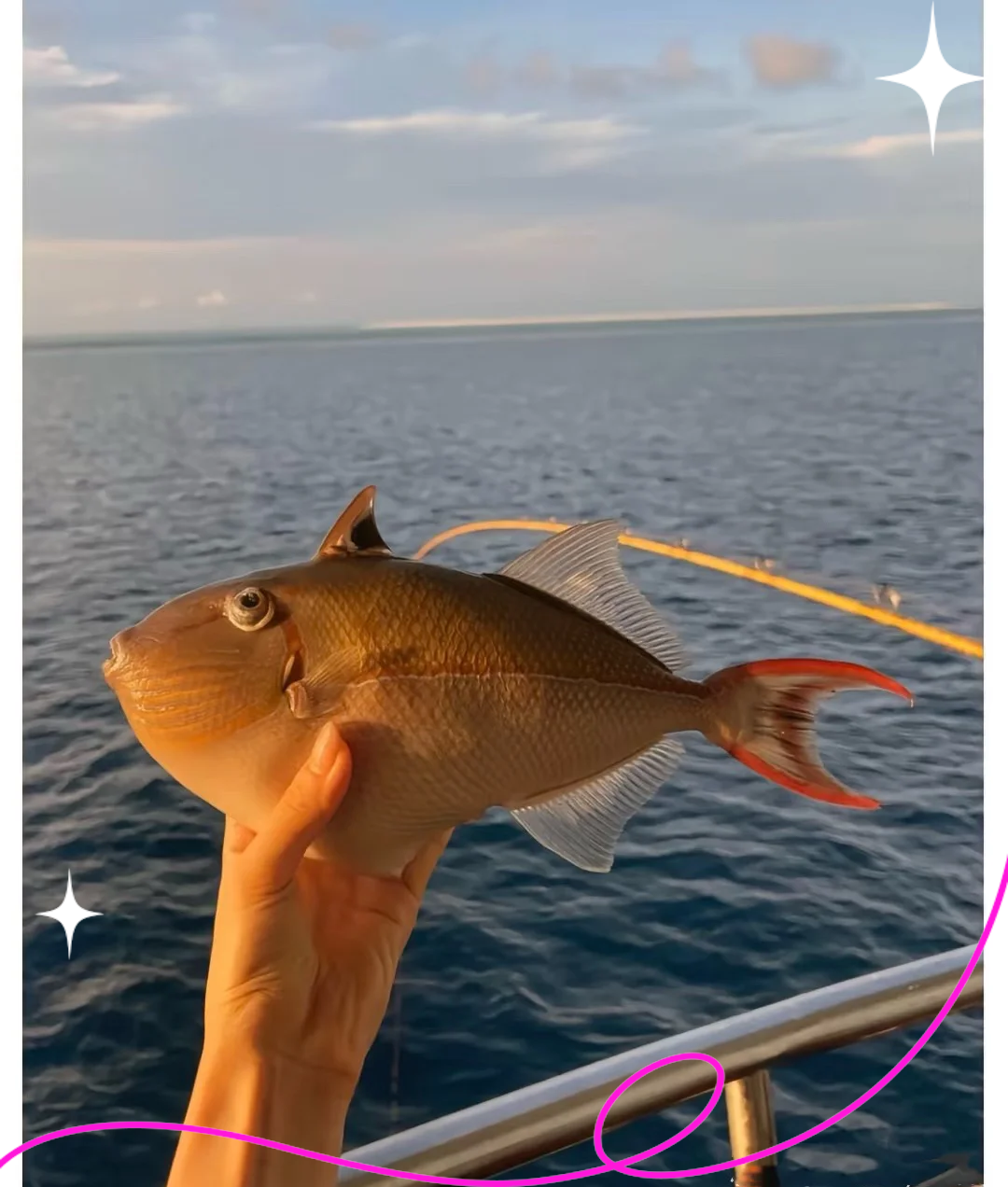 海钓月份鱼种(海钓几月份不适合钓鱼)
