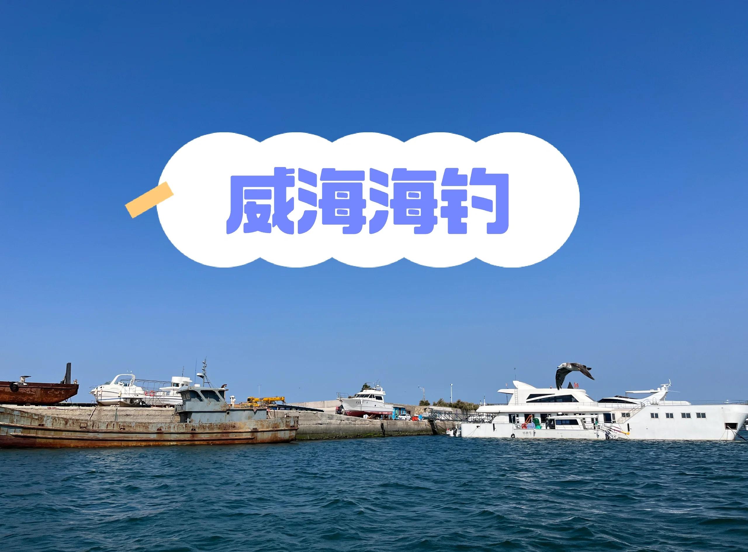 金湾海钓点(珠海金湾钓鱼野钓地点)