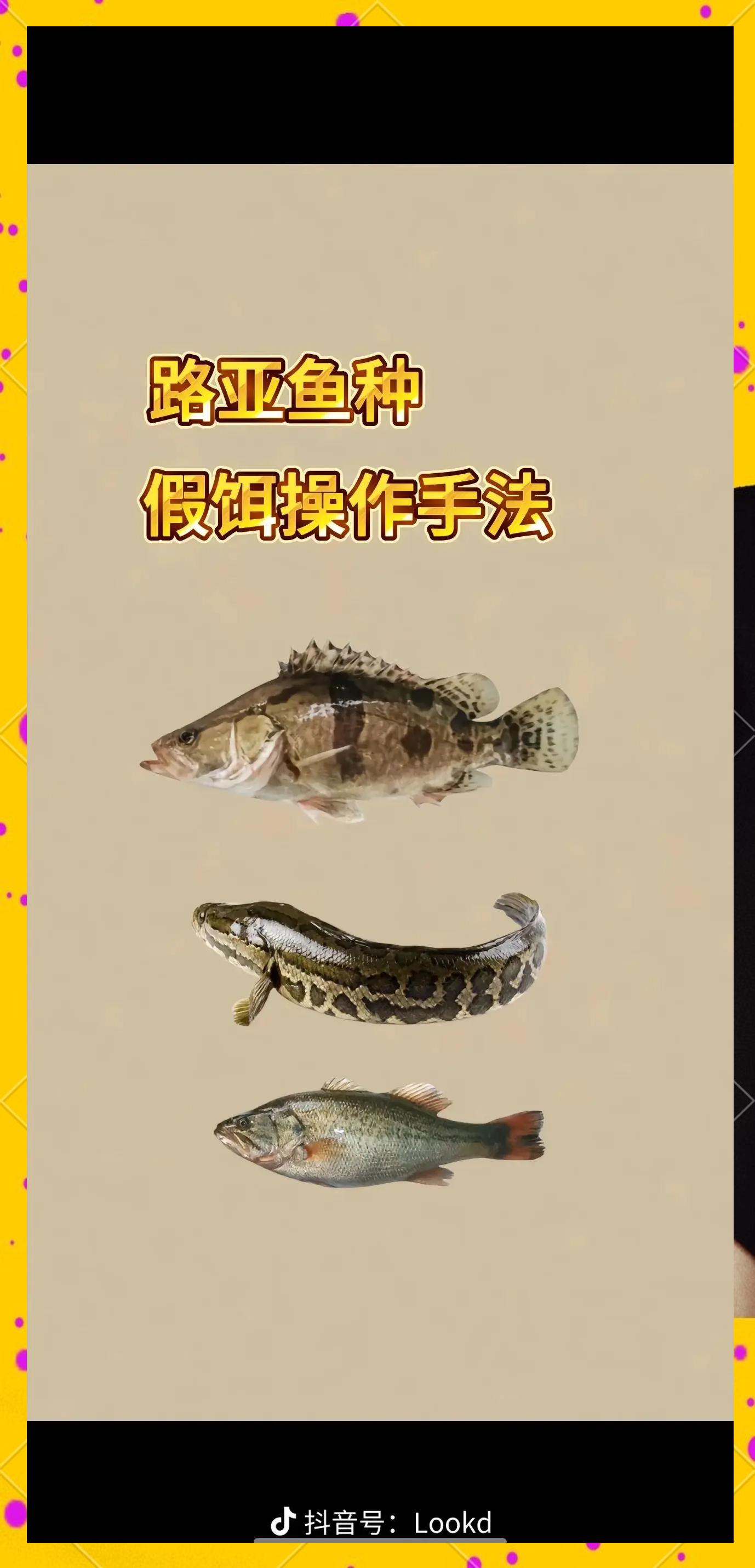 路亚如何诱鱼(路亚怎么用饵)