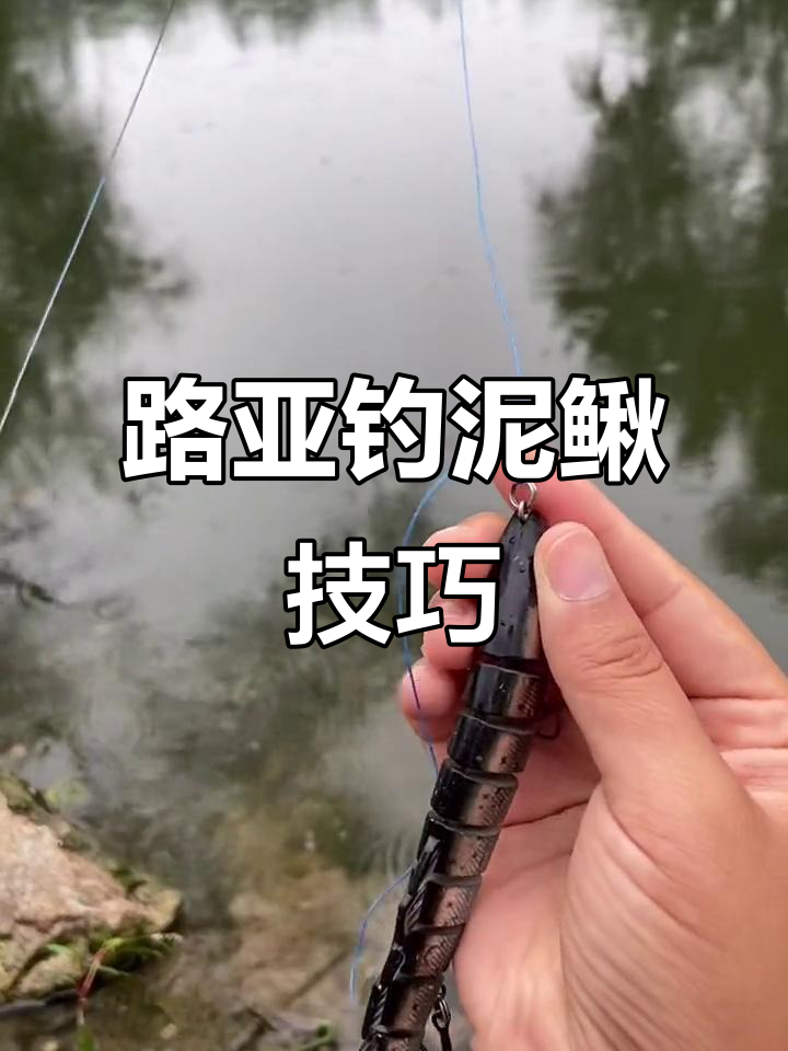 路亚堵塘技巧(路亚鲈鱼技巧)