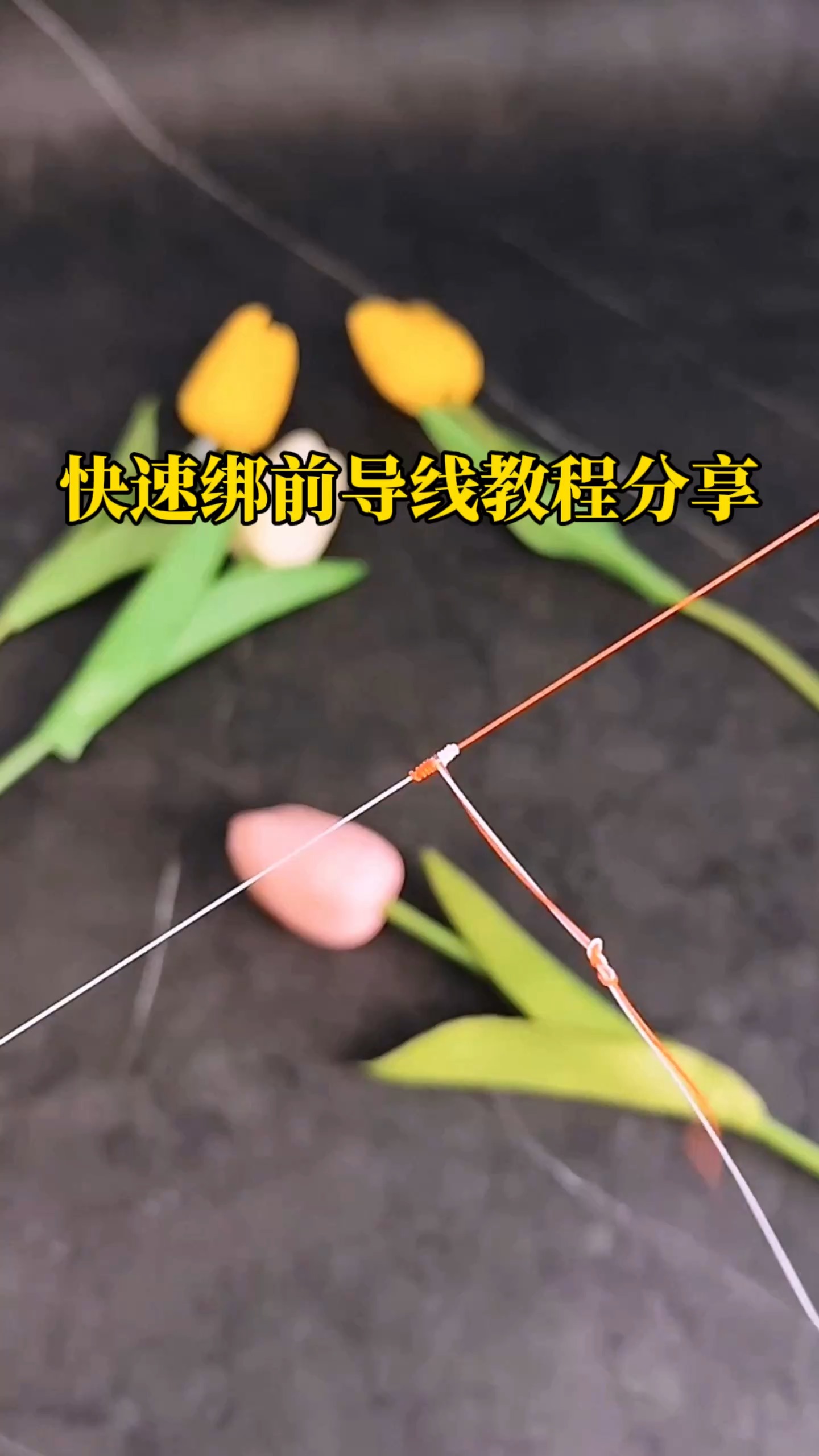 怎么绑海钓线(海钓的线打结怎么打)