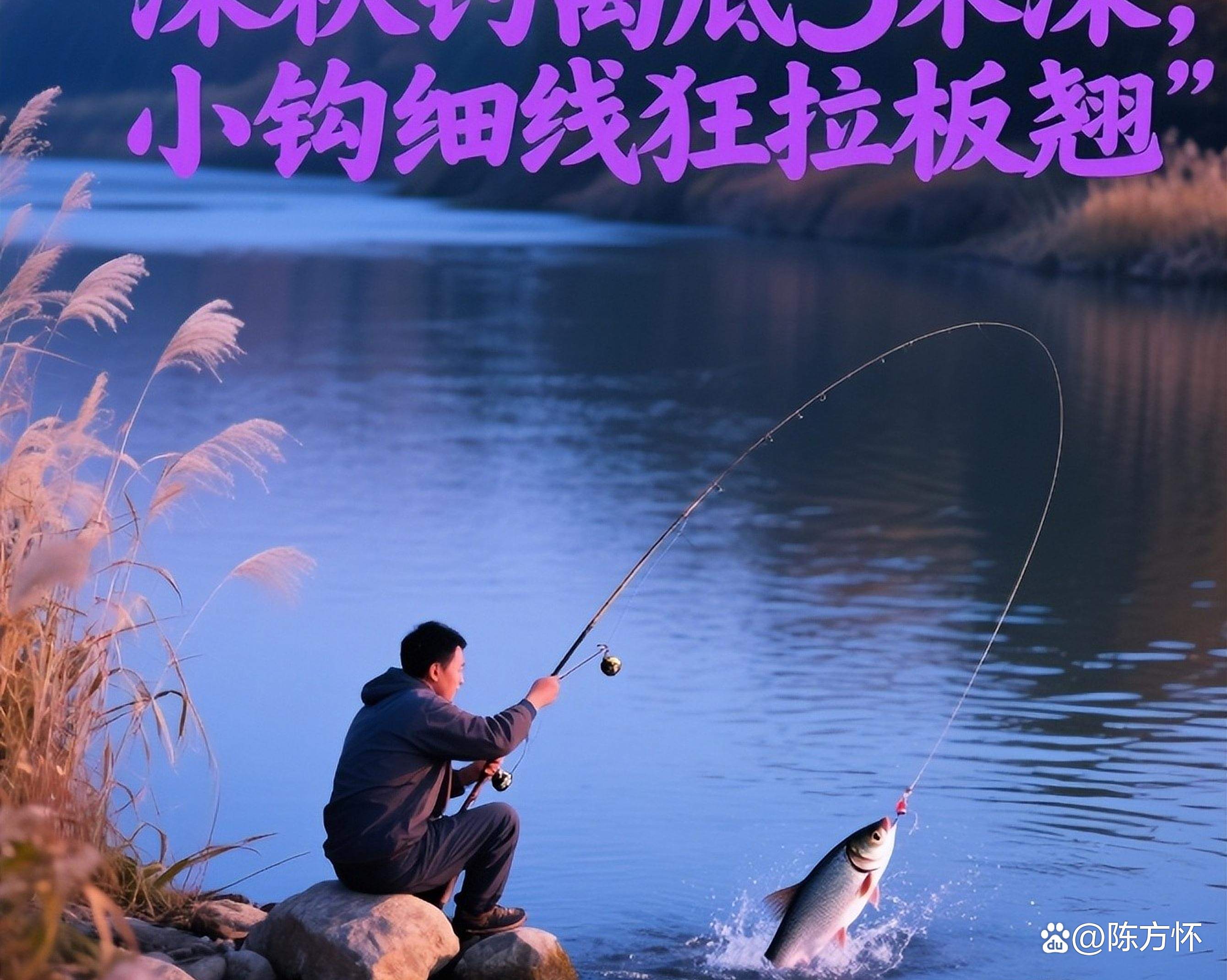 秋钓鲴鱼技巧(秋季钓鲻鱼怎么钓)