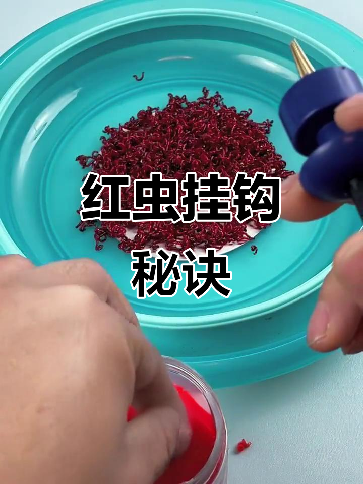 红虫掛钩技巧(野钓为什么不建议使用红虫)