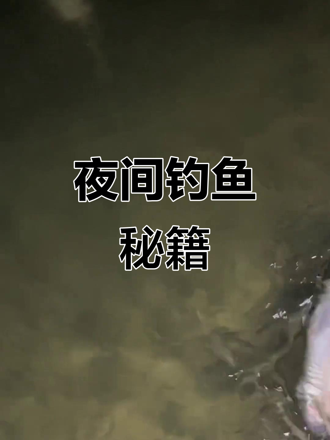 南京长江夜钓技巧(南京长江禁渔公告)
