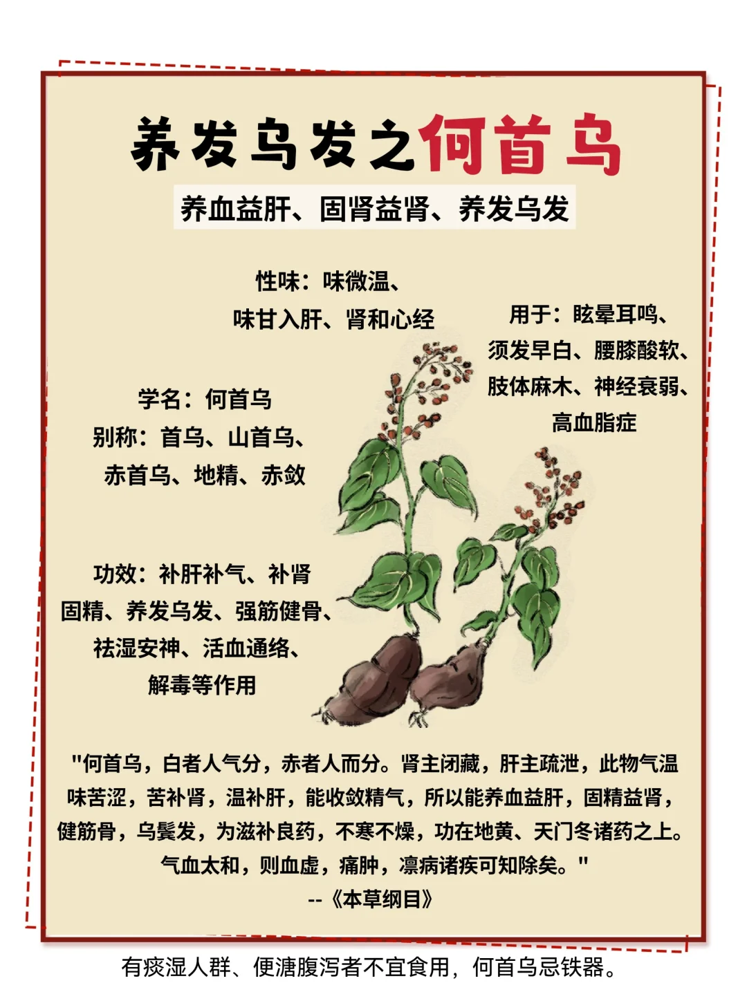 乌头煮食技巧(乌头煮食技巧图解)