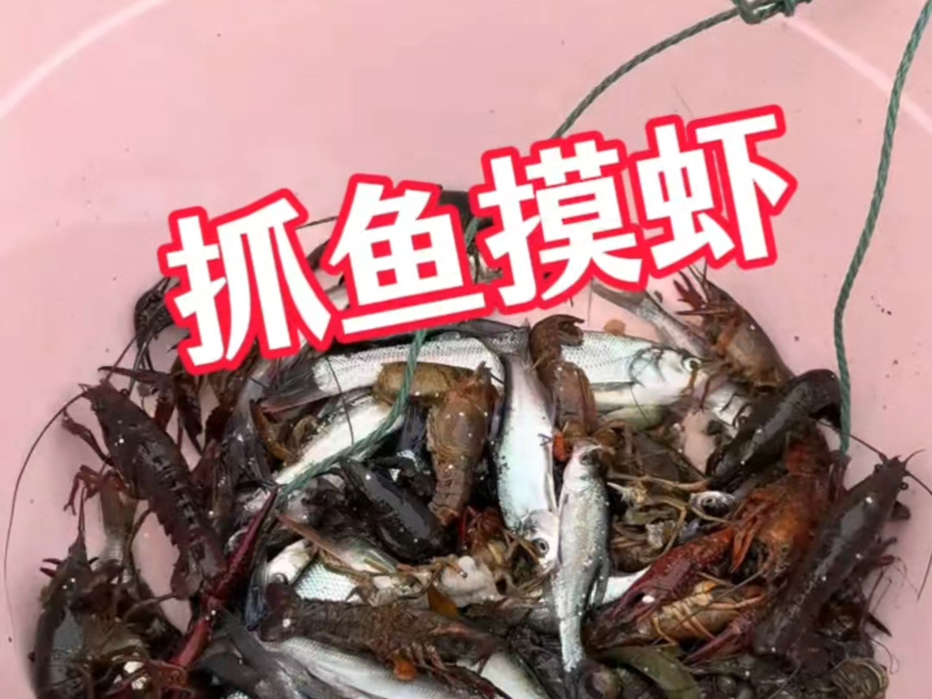 能见大海钓鱼抓虾(做梦钓海虾)