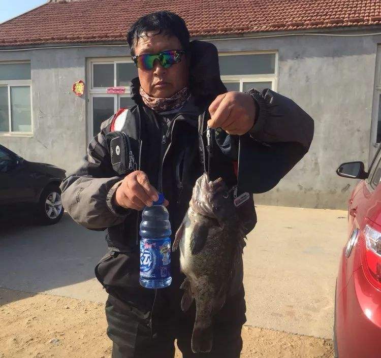 蓬莱冬季海钓黑鱼(蓬莱冬季可以海钓吗)