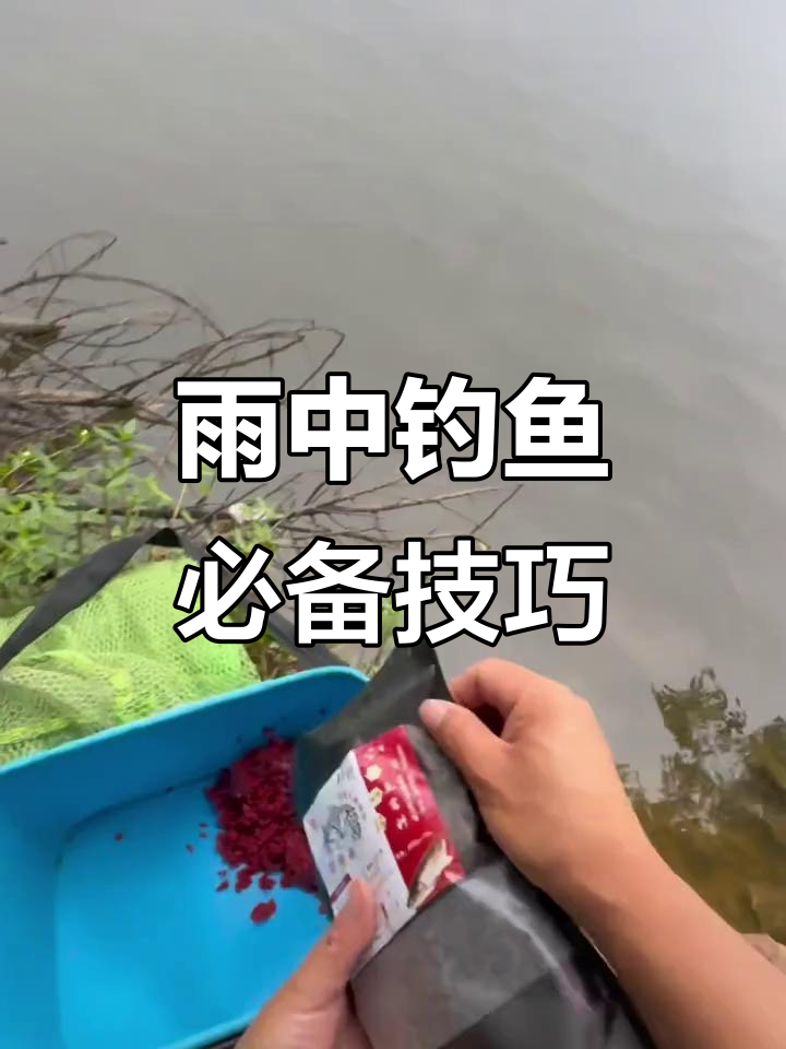 春季雨天钓鱼技巧(春季雨天钓什么鱼)
