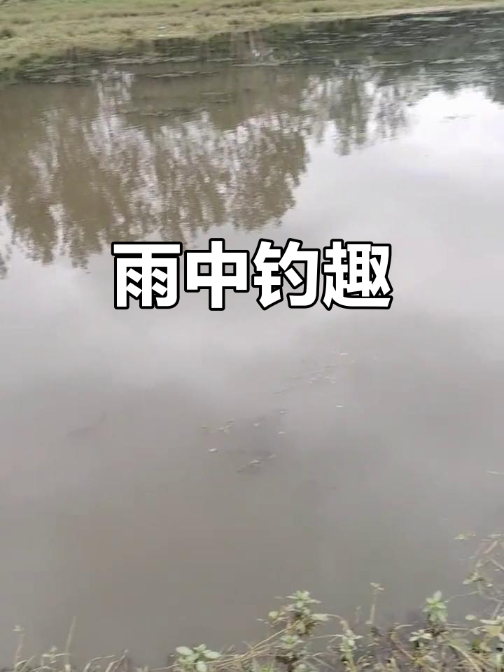 春季雨天钓鱼技巧(春季雨天钓什么鱼)