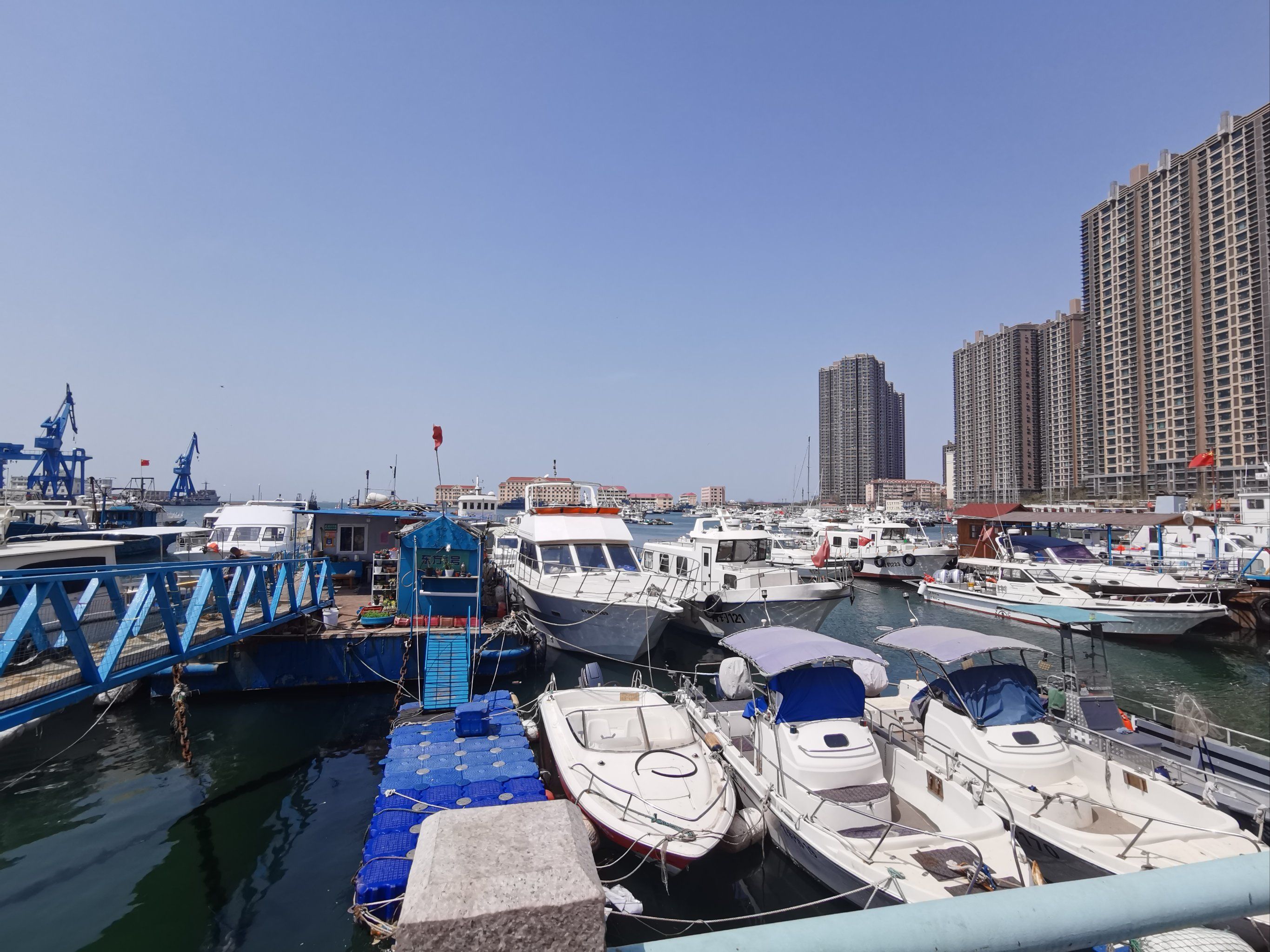 丹东可以出海钓鱼(丹东海边钓鱼哪里好)
