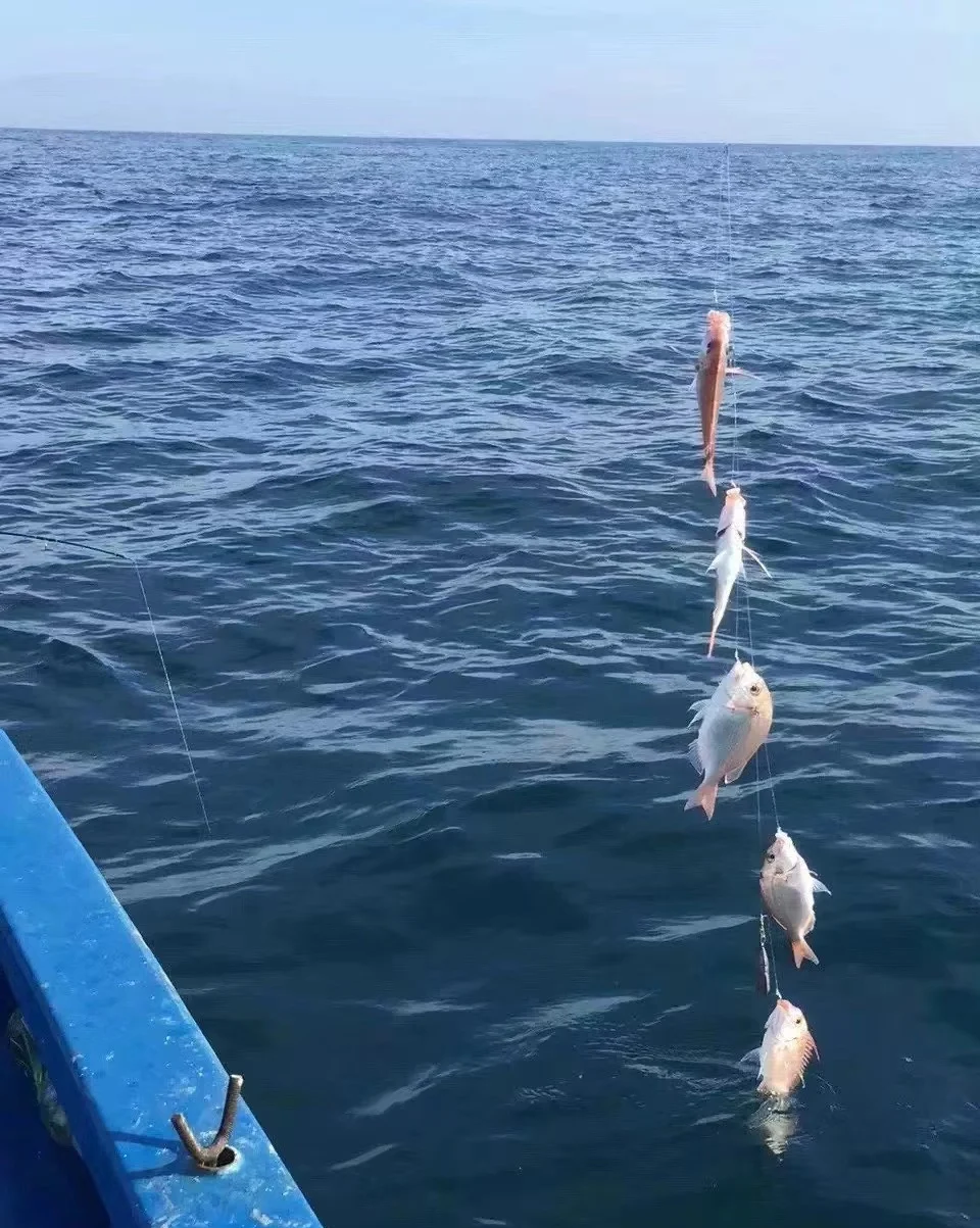 海钓抛竿动作视频(海钓抛杆视频教程)